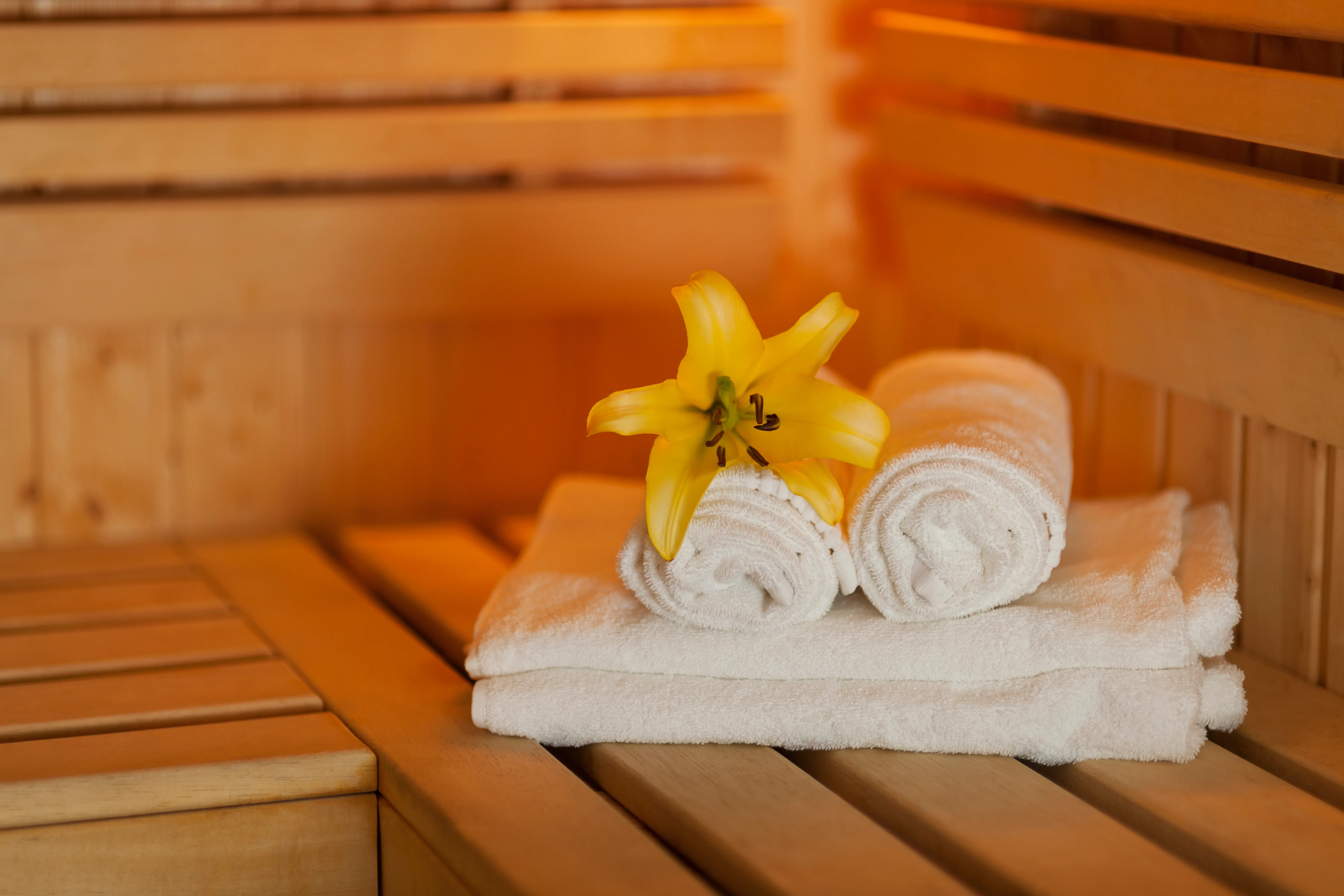 Hotel wellness facilities